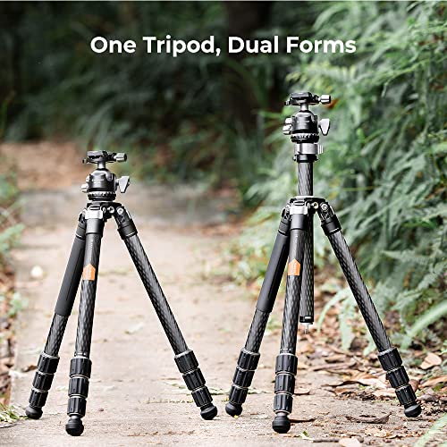 Carbon Fiber Camera Tripod with 55lbs Load Capacity