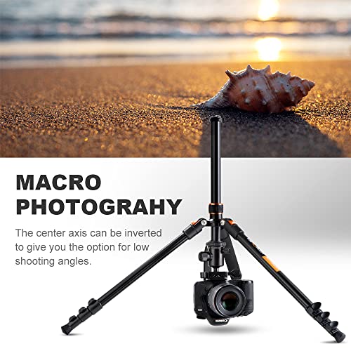 Lightweight 64'' DSLR Tripod with 360 Panorama