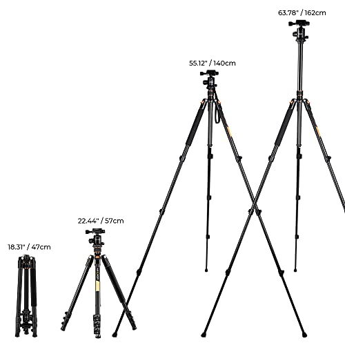 Lightweight 64'' DSLR Tripod with 360 Panorama
