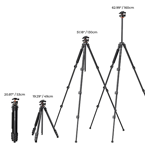 Compact 62'' Camera Tripod with Ball Head