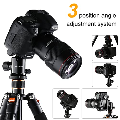 Lightweight 64'' DSLR Tripod with 360 Panorama