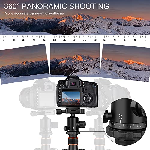 Lightweight 64'' DSLR Tripod with 360 Panorama