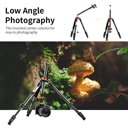 K&F Concept Carbon Fiber Camera Tripod with Monopod