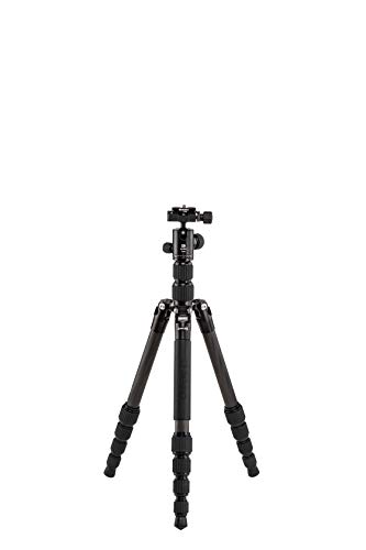 Benro Tripster Travel Tripod/Monopod - Black CF, Series 0