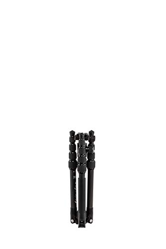 Benro Tripster Travel Tripod/Monopod - Black CF, Series 0