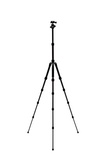 Benro Tripster Travel Tripod/Monopod - Black CF, Series 0