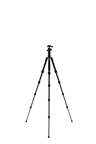 Benro Tripster Travel Tripod/Monopod - Black CF, Series 0