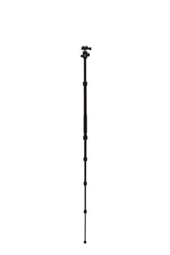 Benro Tripster Travel Tripod/Monopod - Black CF, Series 0