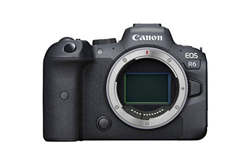 Canon EOS R6 Mirrorless Camera with 4K Video