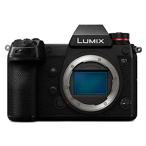 Panasonic LUMIX S1 Mirrorless Camera - Black