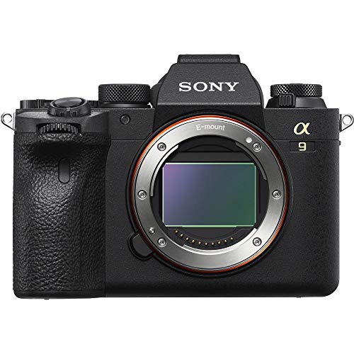 Sony a9 II Mirrorless Camera: Ultimate 24.2MP Full Frame Shooter