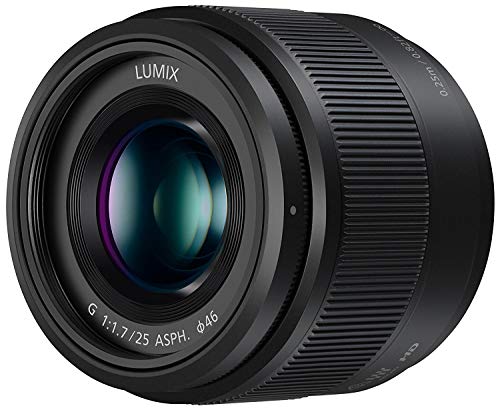 Panasonic LUMIX G 25mm F1.7 Lens Mirrorless MFT