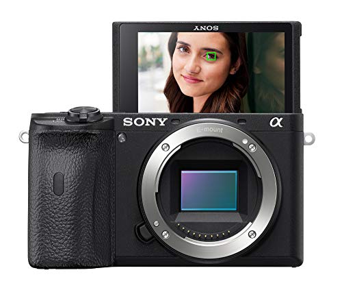 Sony A6600 Mirrorless Camera - Capture Stunning Photos