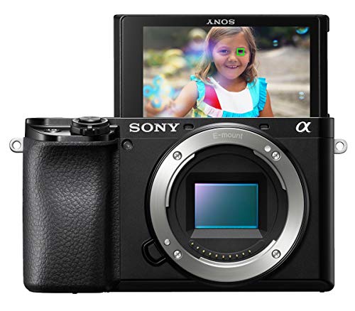 Sony Alpha A6100 Mirrorless Camera - Capture stunning photos