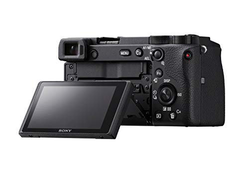 Sony A6600 Mirrorless Camera - Capture Stunning Photos