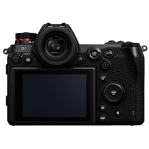 Panasonic LUMIX S1 Mirrorless Camera with 24.2MP