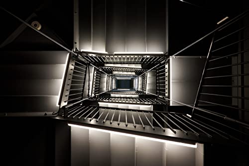 Nikon Z fc Mirrorless Camera with Special 28mm Lens