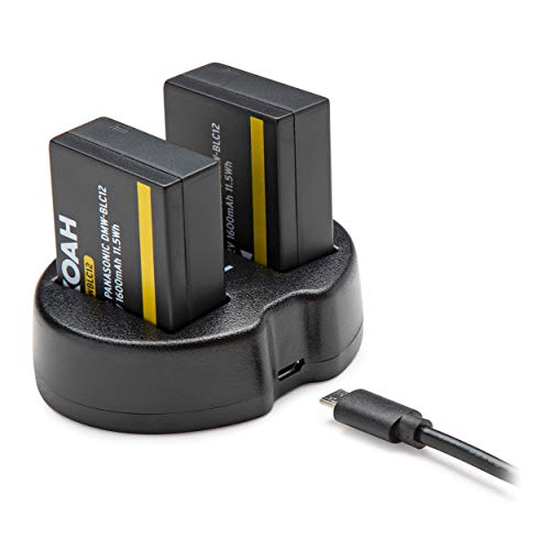 Panasonic LUMIX G85 Camera with Lens Bundle and Accessories