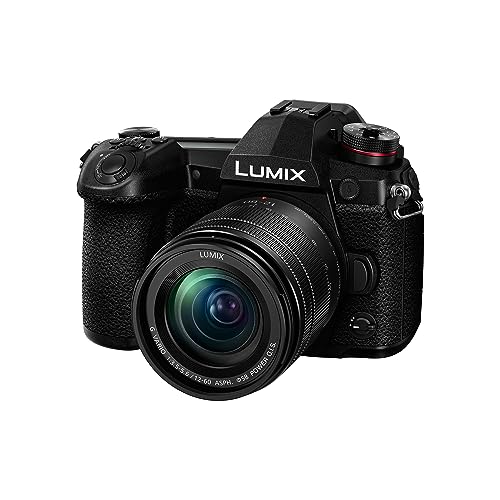 Panasonic LUMIX G9 Mirrorless Camera with 12-60mm Lens