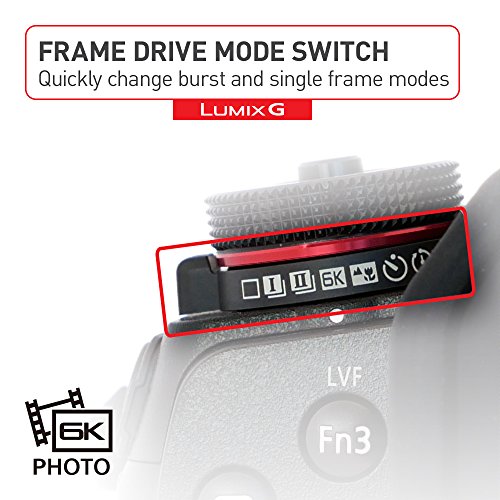 Panasonic LUMIX G9 Mirrorless Camera with 12-60mm Lens