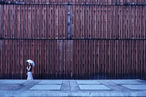 Sony Alpha A6100 Mirrorless Camera with 16-50mm Lens