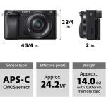 Sony Alpha A6100 Mirrorless Camera with Zoom Lenses