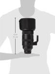 Sigma 150-600mm Lens for Sony E Mount Photography