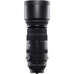 Sigma 150-600mm Lens for Sony E Mount Photography