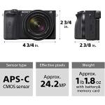 Sony Alpha A6600 Mirrorless Camera with 18-135mm Lens