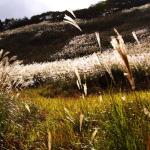 Sigma 35mm F1.4 Art DG HSM Canon Lens