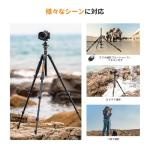 K&F Concept 64'' DSLR Tripod with 360 Ball Head