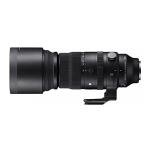 Sigma 150-600mm Lens for Sony E Mount Photography