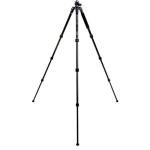 Benro SystemGo Plus Aluminum Tripod with Monopod Conversion