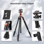 K&F 78" Camera Tripod with Ball Head (10KG)