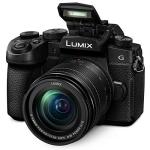 Panasonic LUMIX G95 Mirrorless Camera with Dual I.S
