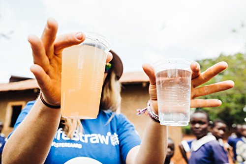 High-Volume LifeStraw Community Water Purifier with Autofill