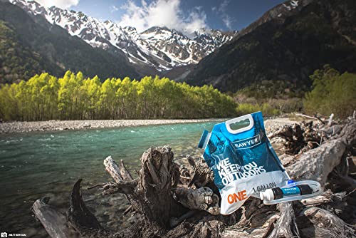 Sawyer SP160 One Gallon Gravity Water Filter System