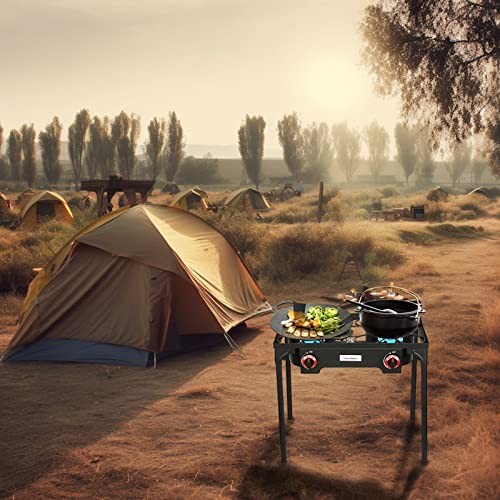 Vivicreate Propane Gas High Pressure Regulator for Camping