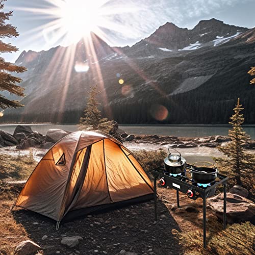 Vivicreate Propane Gas High Pressure Regulator for Camping