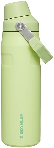 Stanley IceFlow™ Citron Fast Flow Bottle 24oz