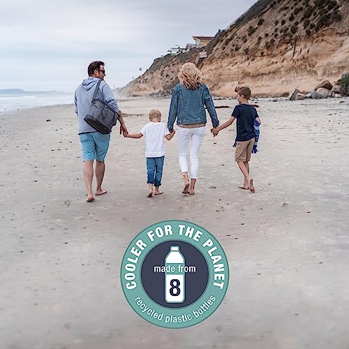 Collapsible Cooler Bag, 30 Can: Structured, Leakproof, Insulated