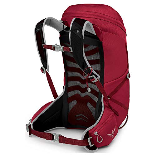Osprey Talon 26 Backpack in Cosmic Red L/XL