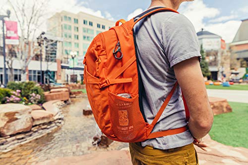 Gregory Nano 20 Outdoor Backpack, Calypso Teal