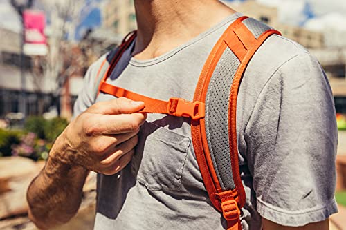 Gregory Nano 20 Outdoor Backpack, Calypso Teal