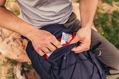 Gregory Inertia 24 H2O Hydration Backpack, Brick Red