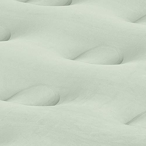 Coleman Double-High SupportRest Air Mattress for Camping (Green)