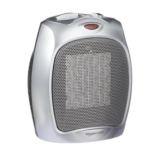 Portable Ceramic Space Heater with Adjustable Thermostat