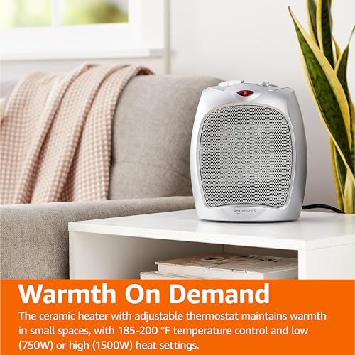 Portable Ceramic Space Heater with Adjustable Thermostat
