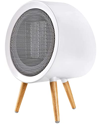 GAIATOP 1000W Energy Efficient Indoor Space Heater