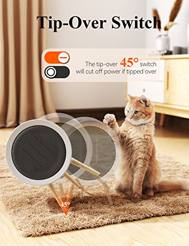 GAIATOP 1000W Energy Efficient Indoor Space Heater